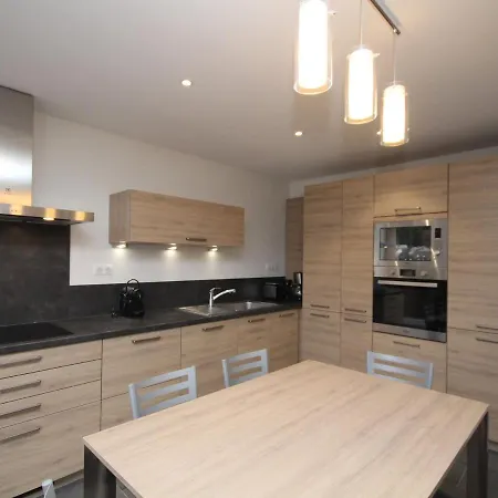 Splendide T3 Avec Terrasse Et Garage Au Mont-dore, Idealement Situe Proche Thermes - Fr-1-608-24